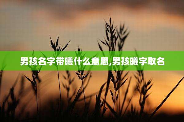 男孩名字带曦什么意思,男孩曦字取名