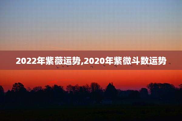 2022年紫薇运势,2020年紫微斗数运势
