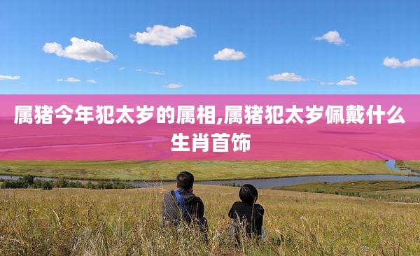 属猪今年犯太岁的属相,属猪犯太岁佩戴什么生肖首饰