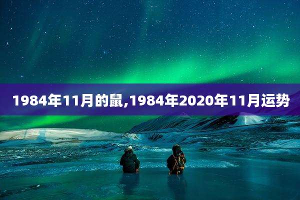 1984年11月的鼠,1984年2020年11月运势
