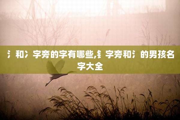 氵和冫字旁的字有哪些,钅字旁和氵的男孩名字大全