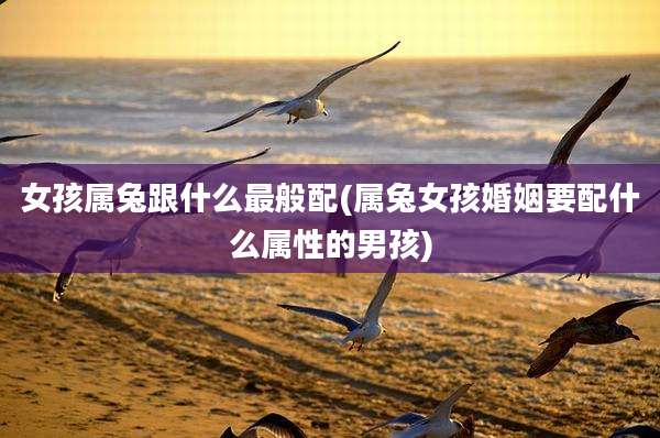 女孩属兔跟什么最般配(属兔女孩婚姻要配什么属性的男孩)