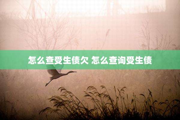 怎么查受生债欠 怎么查询受生债