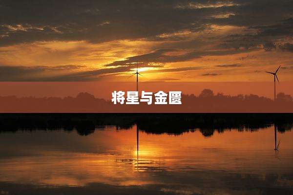 将星与金匮