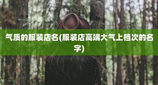 气质的服装店名(服装店高端大气上档次的名字)