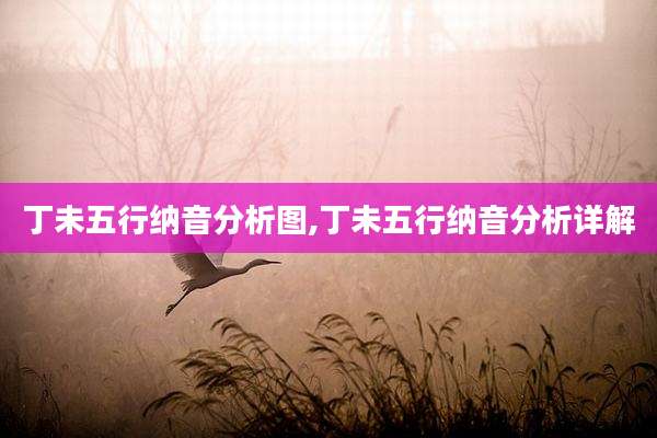 丁未五行纳音分析图,丁未五行纳音分析详解