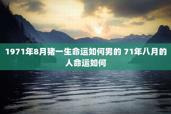 1971年8月猪一生命运如何男的 71年八月的人命运如何