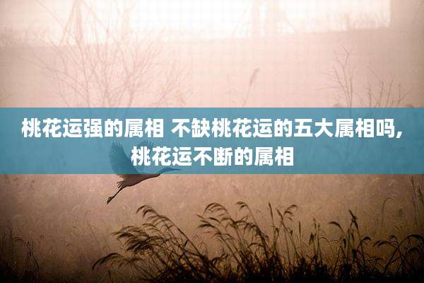 桃花运强的属相 不缺桃花运的五大属相吗,桃花运不断的属相