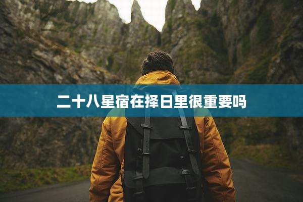 二十八星宿在择日里很重要吗