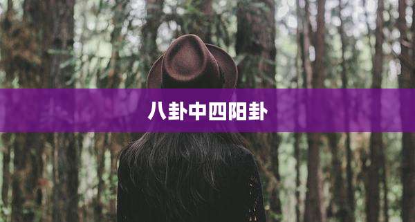 八卦中四阳卦