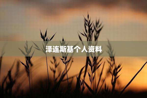 泽连斯基个人资料