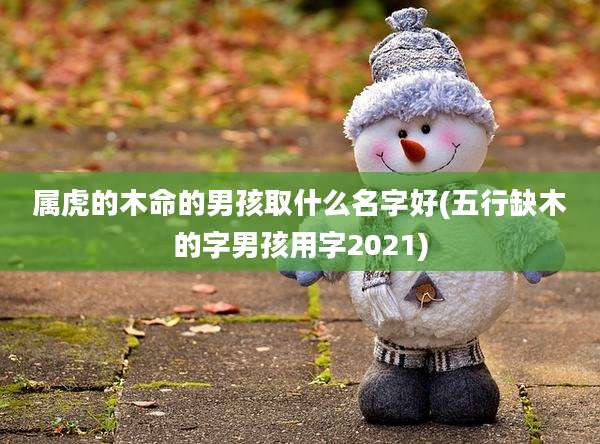 属虎的木命的男孩取什么名字好(五行缺木的字男孩用字2021)