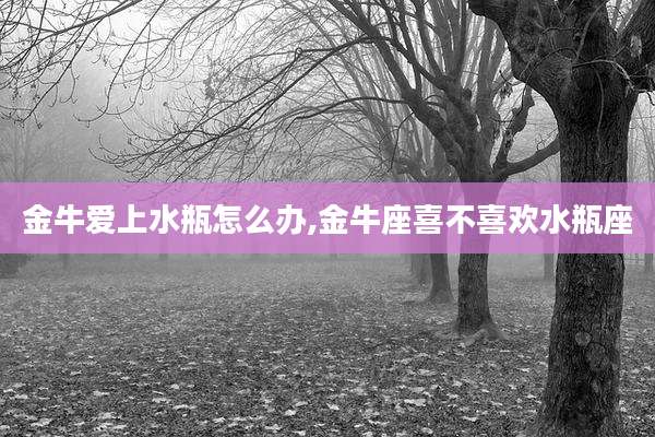 金牛爱上水瓶怎么办,金牛座喜不喜欢水瓶座