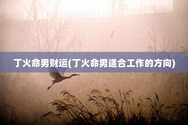 丁火命男财运(丁火命男适合工作的方向)