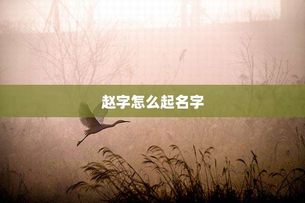 赵字怎么起名字