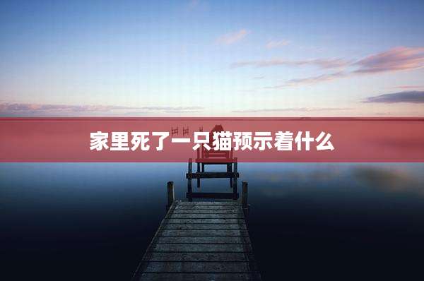 家里死了一只猫预示着什么
