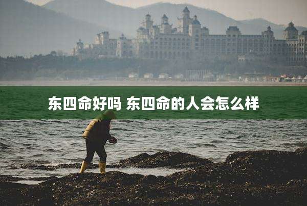 东四命好吗 东四命的人会怎么样