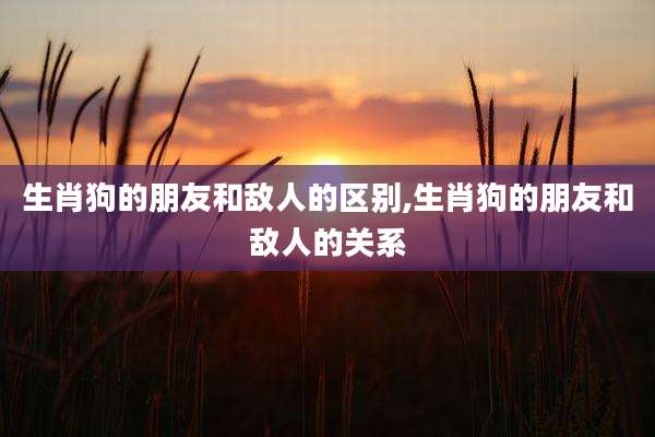 生肖狗的朋友和敌人的区别,生肖狗的朋友和敌人的关系