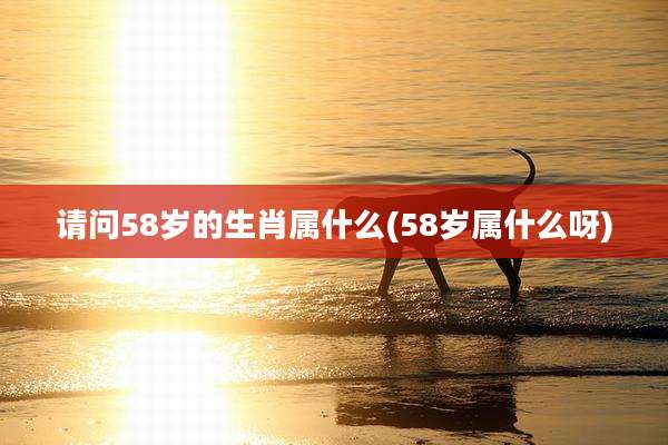 请问58岁的生肖属什么(58岁属什么呀)
