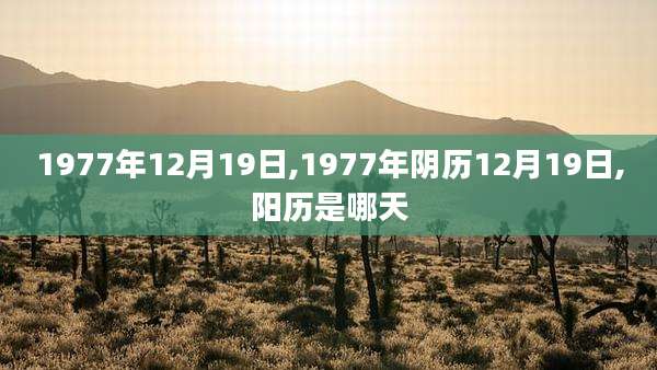 1977年12月19日,1977年阴历12月19日,阳历是哪天