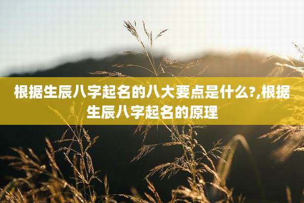 根据生辰八字起名的八大要点是什么?,根据生辰八字起名的原理