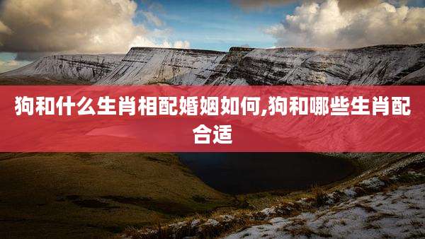 狗和什么生肖相配婚姻如何,狗和哪些生肖配合适