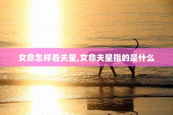 女命怎样看夫星,女命夫星指的是什么