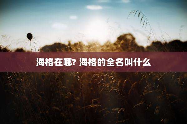 海格在哪? 海格的全名叫什么