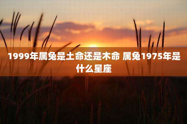 1999年属兔是土命还是木命 属兔1975年是什么星座
