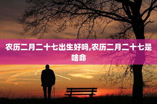 农历二月二十七出生好吗,农历二月二十七是啥命