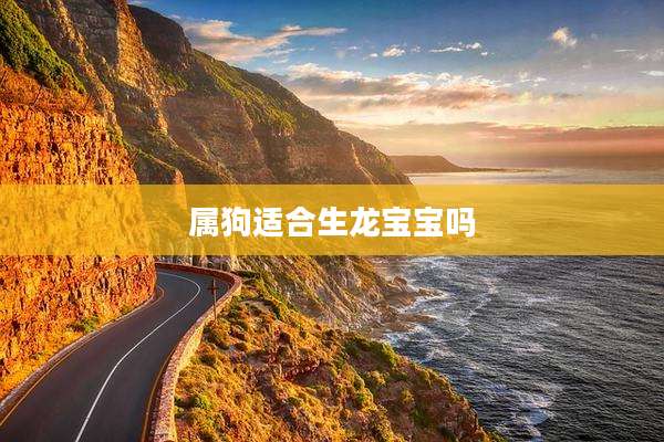 属狗适合生龙宝宝吗
