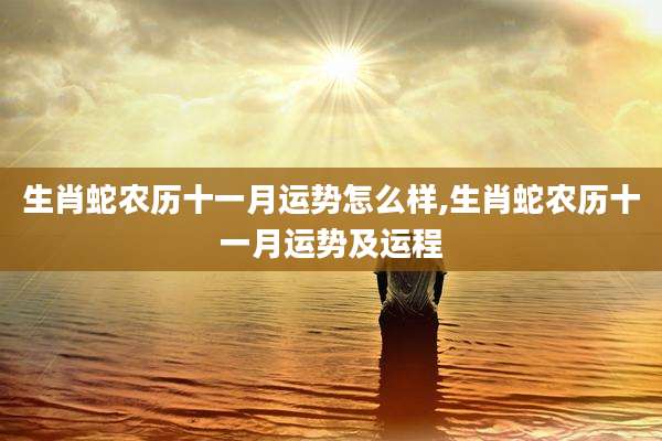 生肖蛇农历十一月运势怎么样,生肖蛇农历十一月运势及运程