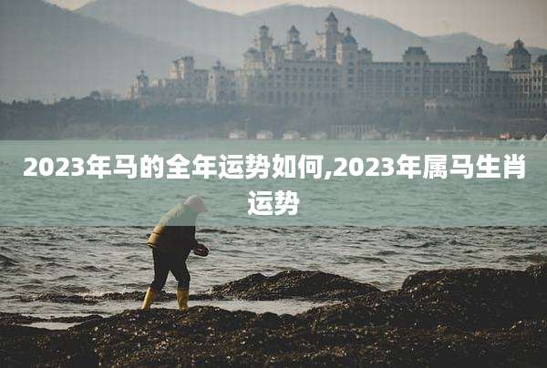 2023年马的全年运势如何,2023年属马生肖运势