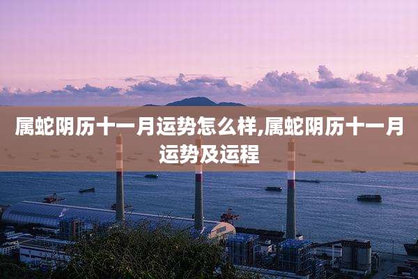 属蛇阴历十一月运势怎么样,属蛇阴历十一月运势及运程