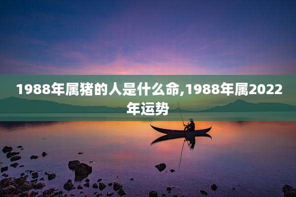 1988年属猪的人是什么命,1988年属2022年运势