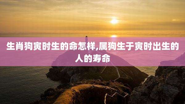生肖狗寅时生的命怎样,属狗生于寅时出生的人的寿命