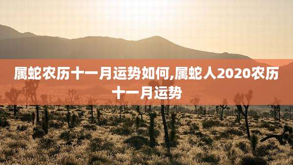 属蛇农历十一月运势如何,属蛇人2020农历十一月运势