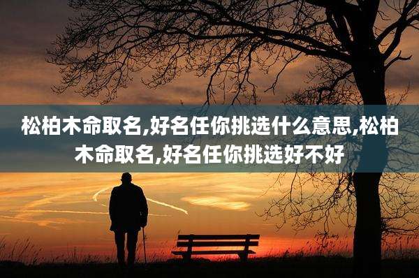 松柏木命取名,好名任你挑选什么意思,松柏木命取名,好名任你挑选好不好