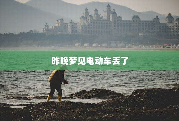 昨晚梦见电动车丢了