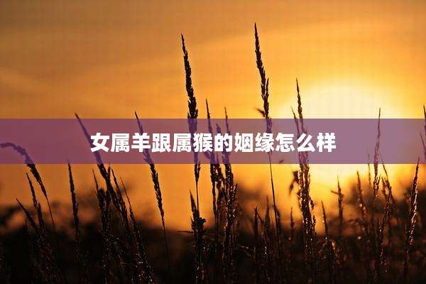 女属羊跟属猴的姻缘怎么样
