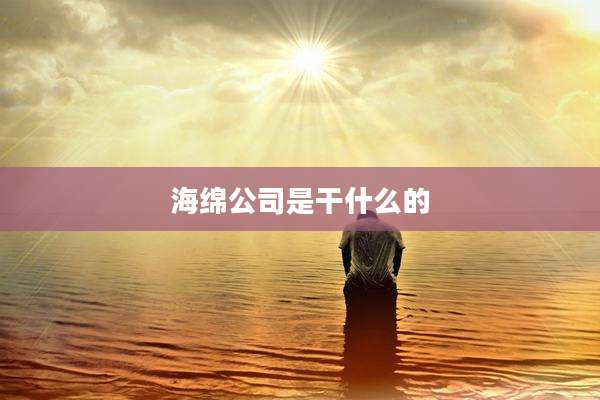 海绵公司是干什么的