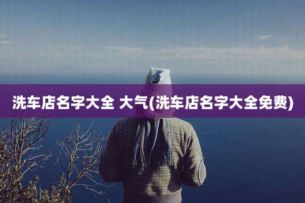 洗车店名字大全 大气(洗车店名字大全免费)
