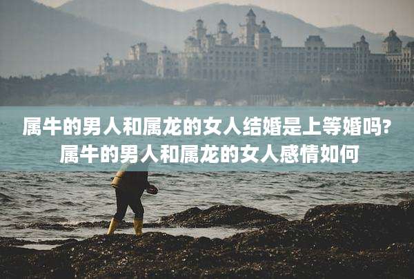 属牛的男人和属龙的女人结婚是上等婚吗? 属牛的男人和属龙的女人感情如何
