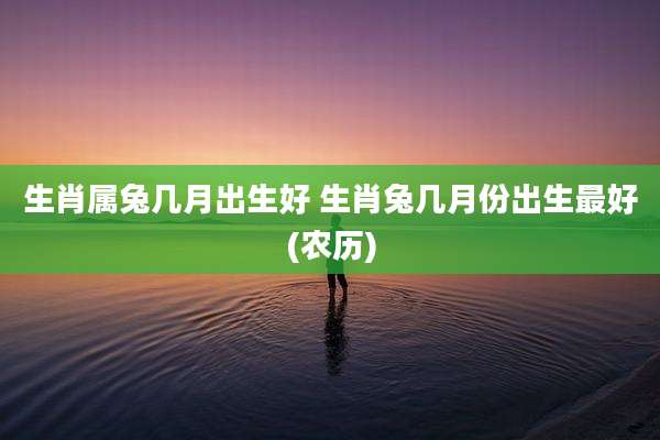 生肖属兔几月出生好 生肖兔几月份出生最好(农历)