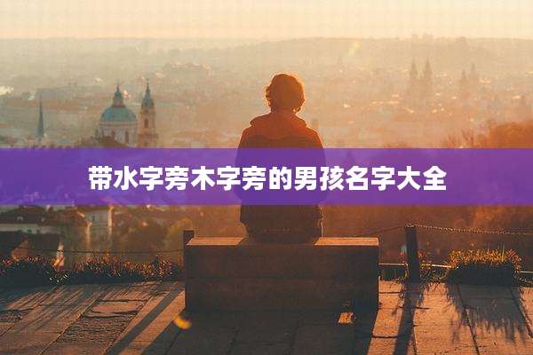 带水字旁木字旁的男孩名字大全