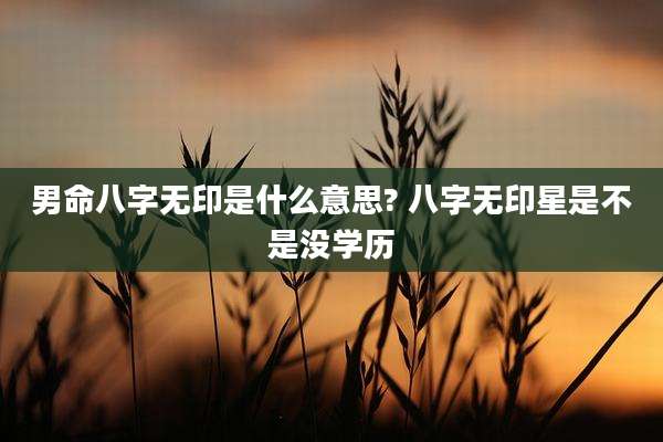 男命八字无印是什么意思? 八字无印星是不是没学历