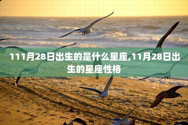 111月28日出生的是什么星座,11月28日出生的星座性格