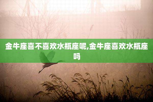 金牛座喜不喜欢水瓶座呢,金牛座喜欢水瓶座吗