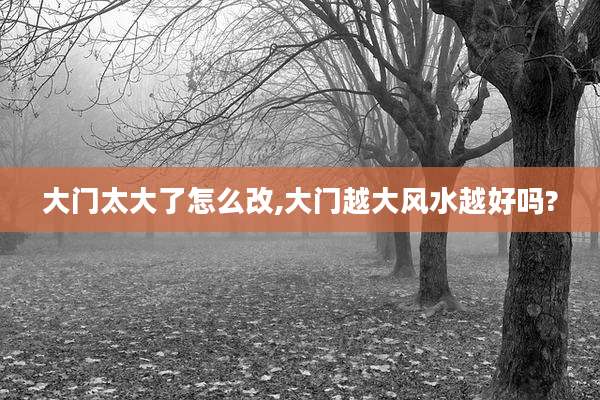 大门太大了怎么改,大门越大风水越好吗?