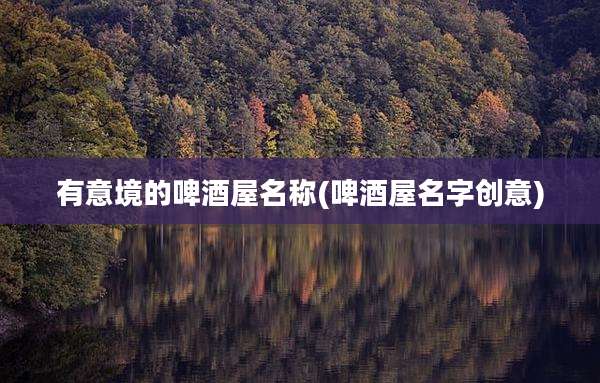 有意境的啤酒屋名称(啤酒屋名字创意)